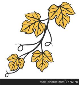 Illustration of grapes vine with leaves. Winery image for restaurants and bars. Business and agricultural item.. Illustration of grapes vine with leaves. Winery image for restaurants and bars.