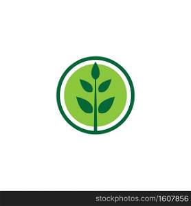illustration of Green leaf  logo design