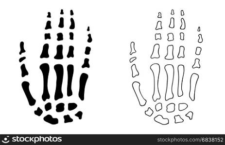 Illustration of hand bones isolated on white
