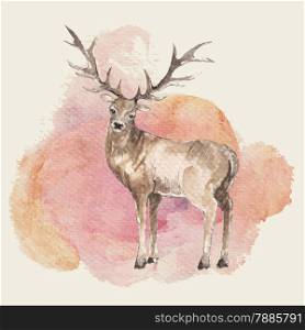 Illustration of hand drawn deer with watercolor background