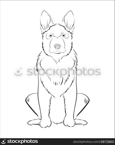 Illustration of hand drawn dog isolated on white background