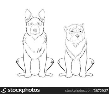 Illustration of hand drawn dogs isolated on white background