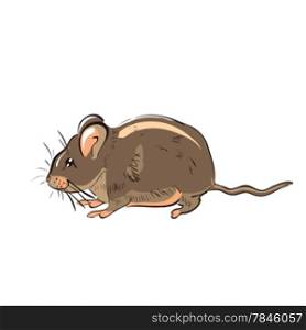 Illustration of hand drawn funny rat