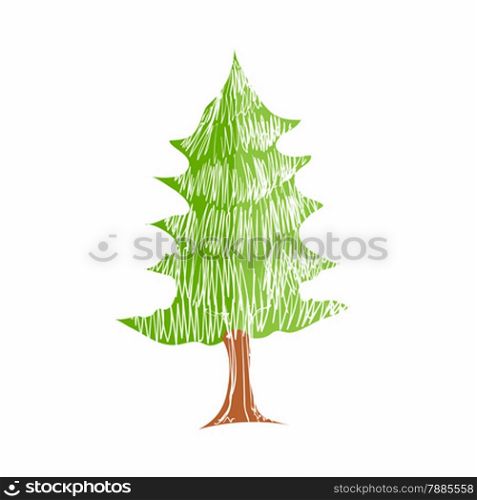 Illustration of hand drawn pine tree isolated on white background