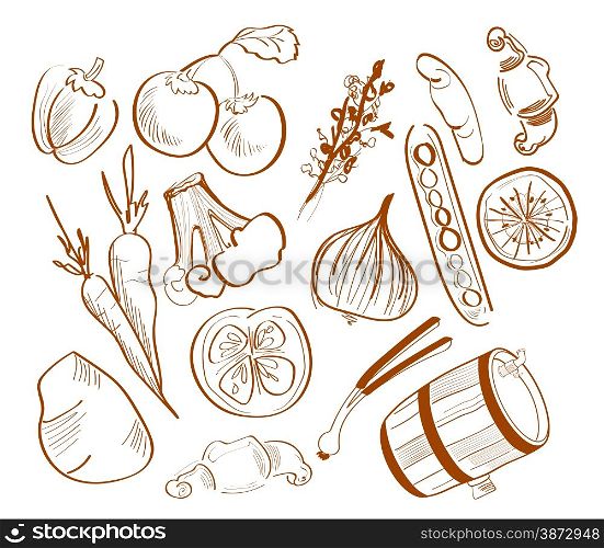 Illustration of hand drawn vegetables isolated on white background