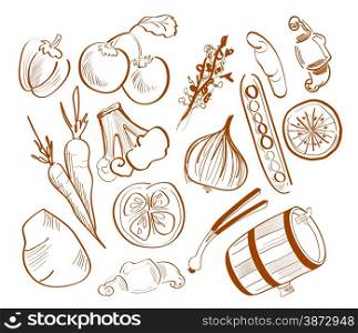 Illustration of hand drawn vegetables isolated on white background
