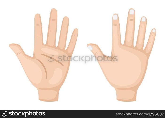 illustration of hand vector