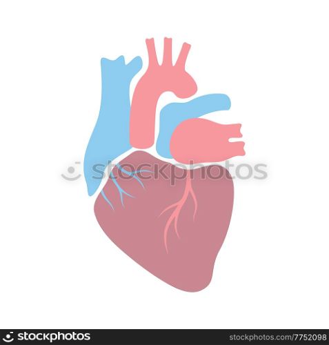 Illustration of heart internal organ. Human body anatomy. Health care and medical education icon.. Illustration of heart internal organ. Human body anatomy. Health care and medical icon.