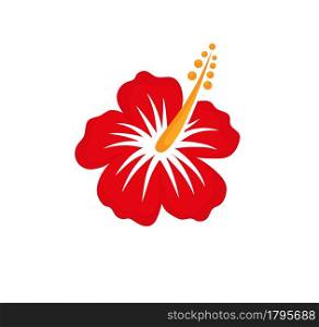 Illustration of Hibiscus Red Tropical Flower with Large Petals Vector