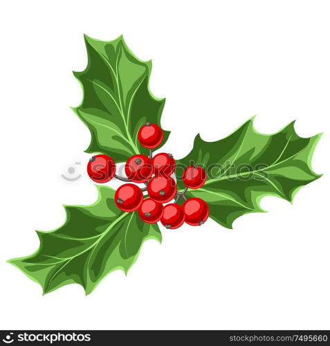 Illustration of holly branch with berries. Stylized hand drawn image in retro style.. Illustration of holly branch with berries.