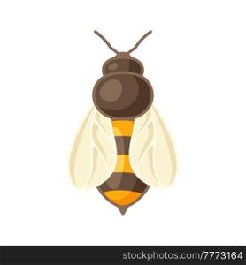 Illustration of honey bee. Image for business, food and agricultural industry.. Illustration of honey bee. Image for food and agricultural industry.