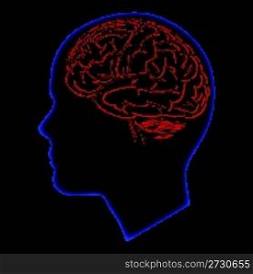 illustration of human brain inside head