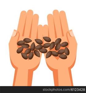 Illustration of human hands holding handful seeds. Illustration of human hands holding handful seeds.