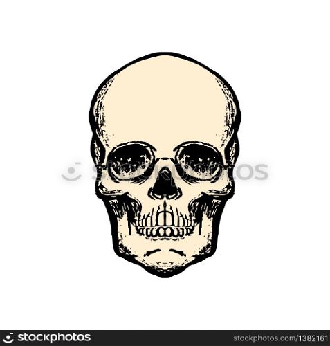 Illustration of human skull in vintage style. Design element for logo, label, sign, emblem, poster. Vector illustration