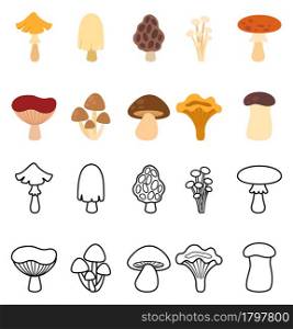 illustration of isolated mushrooms vector