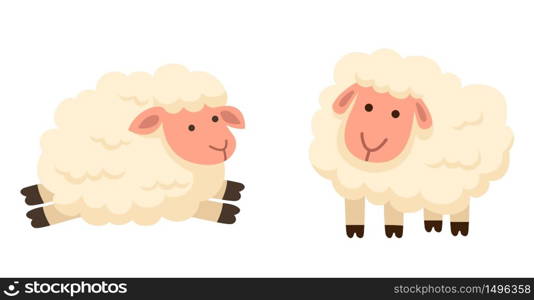 illustration of isolated sheep on white background vector