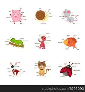 Illustration of isolation vocabulary part of body animals set.vector