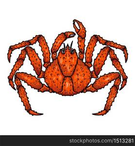 Illustration of japanese spider crab. Design element for logo, label, sign, emblem, poster. Vector illustration