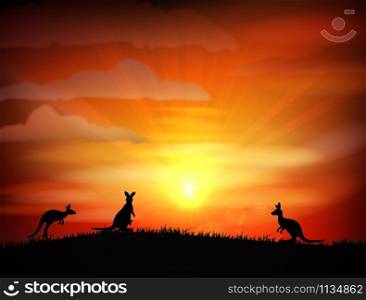 Illustration of Kangaroo on sunset. vector illustration
