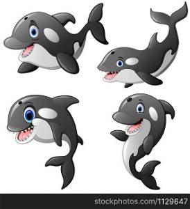 Illustration of killer whale set cartoon