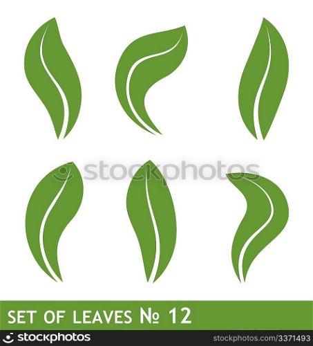 Illustration of leaves set for design - vector