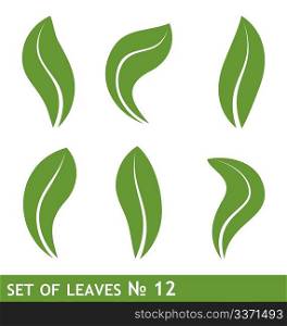 Illustration of leaves set for design - vector