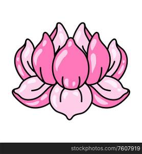 Illustration of lotus flower. Water lily decorative image. Natural tropical plant.. Illustration of lotus flower. Water lily decorative image.