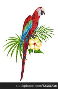 Illustration of macaw parrot. Tropical exotic bird, palm leaves and hibiscus flowers.. Illustration of macaw parrot.