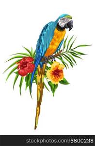 Illustration of macaw parrot. Tropical exotic bird, palm leaves and hibiscus flowers.. Illustration of macaw parrot.