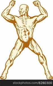 illustration of male human anatomy body builder flexing muscle on isolated background woodcut style.. male human anatomy body builder flexing muscle
