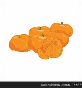 Illustration of Mandarin Orange Fruit Peeled done in Watercolor style.. Mandarin Fruit Peeled Watercolor