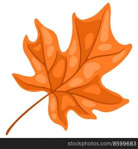 Illustration of maple leaf. Image of seasonal autumn plant.. Illustration of maple leaf. Image of autumn plant.