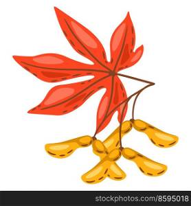 Illustration of maple leaf with seeds. Image of seasonal autumn plant.. Illustration of maple leaf with seeds. Image of autumn plant.