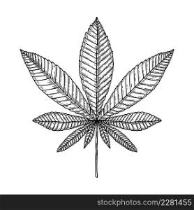 Illustration of marijuana leaf in engraving style. Design element for poster, card, banner, sign. Vector illustration