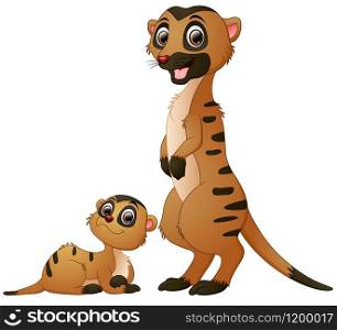 illustration of Mother meerkat with her little baby