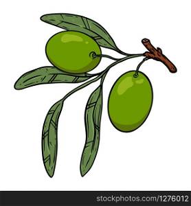 Illustration of olive tree branch with olives. Design element for poster, card, banner, sign, emblem. Vector illustration