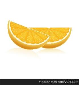 illustration of orange slices on isolated background