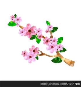 Illustration of origami cherry blossom branchisolated on white background