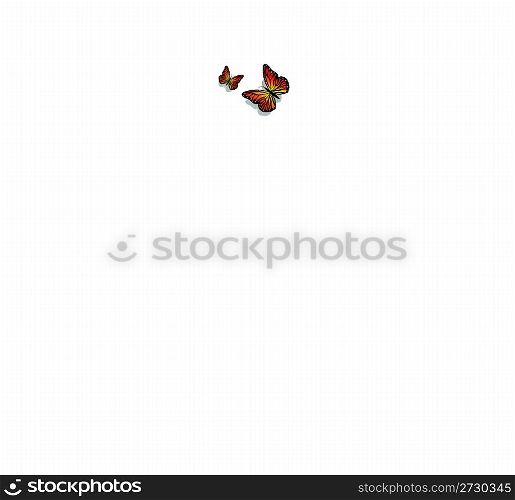 illustration of pair of butterfly on isolated background