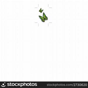 illustration of pair of colorful butterflies on an isolated background