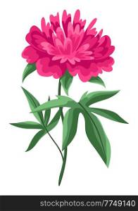 Illustration of peony flower. Beautiful decorative spring plant. Natural image.. Illustration of peony flower. Beautiful decorative spring plant.