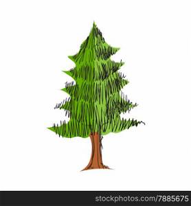 Illustration of pine tree sketch isolated on white background