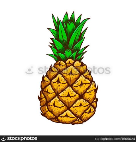 Illustration of pineapple in engraving style. Design element for logo, label, emblem, sign, badge. Vector illustration