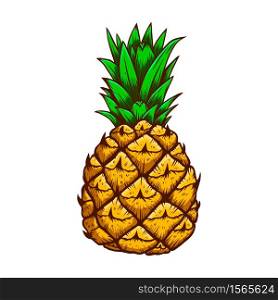Illustration of pineapple in engraving style. Design element for logo, label, emblem, sign, badge. Vector illustration