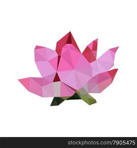 Illustration of pink origami lotus