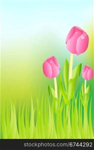 Illustration of Pink Tulips and Grass on Meadow