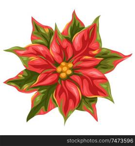 Illustration of poinsettia flower. Stylized hand drawn image in retro style.. Illustration of poinsettia flower.