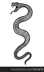 Illustration of poisonous snake  in engraving style. Design element for logo, label, emblem, sign, badge. Vector illustration