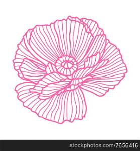 Illustration of poppy. Beautiful decorative stylized summer flower.. Illustration of poppy.