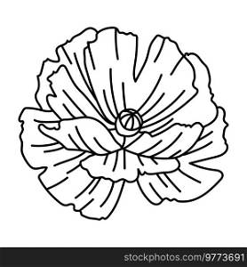 Illustration of poppy flower. Beautiful decorative plant. Natural image.. Illustration of poppy flower. Beautiful decorative plant.